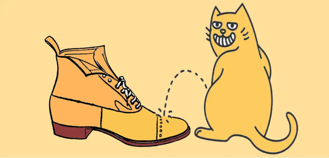 Gizli Corba Muaf Why Do Cats Pee On Shoes Executiveinnwkg Com