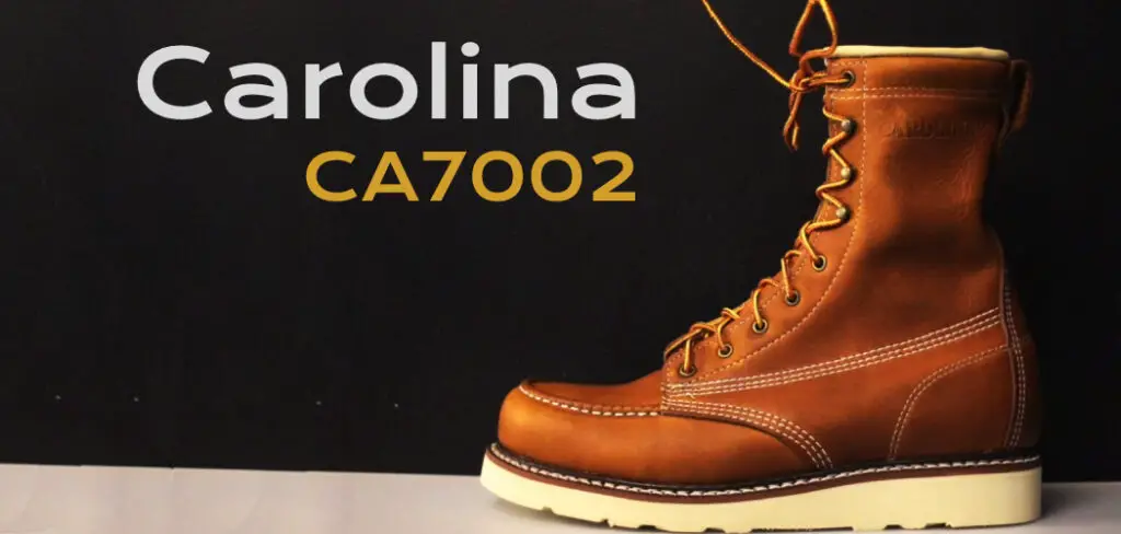 Carolina CA7002 Review