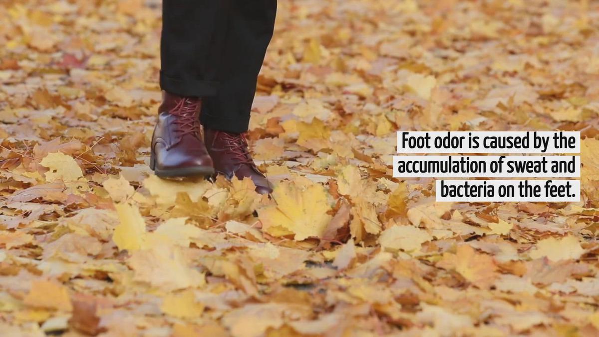 theshoebuddy-com-videos