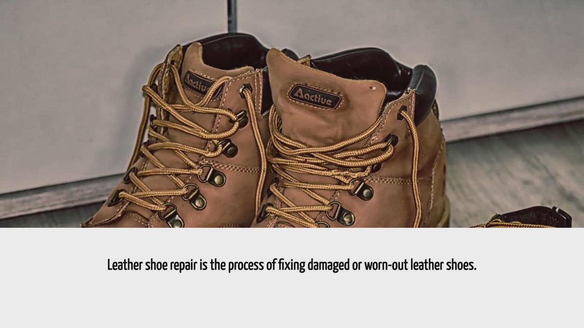 theshoebuddy-com-videos