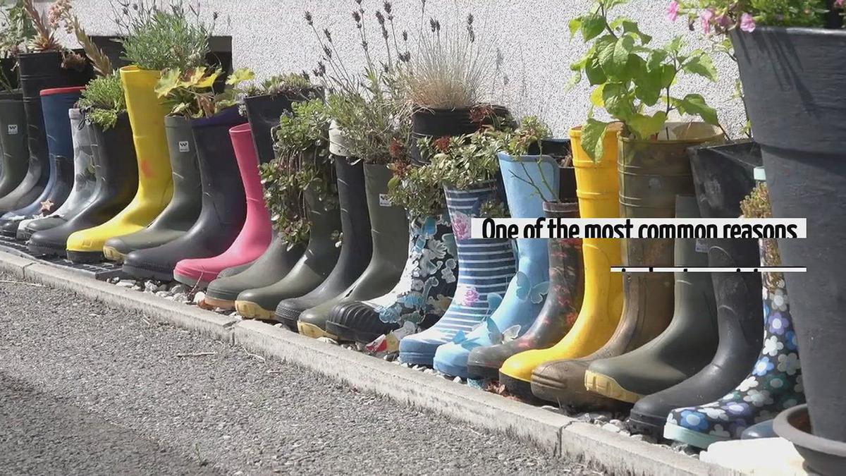 Theshoebuddy com Videos theshoebuddy-com-videos