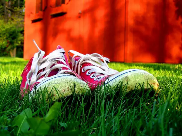 Best Shoes for Lawn Mowing