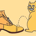 How to Get Cat Pee Out of Shoes