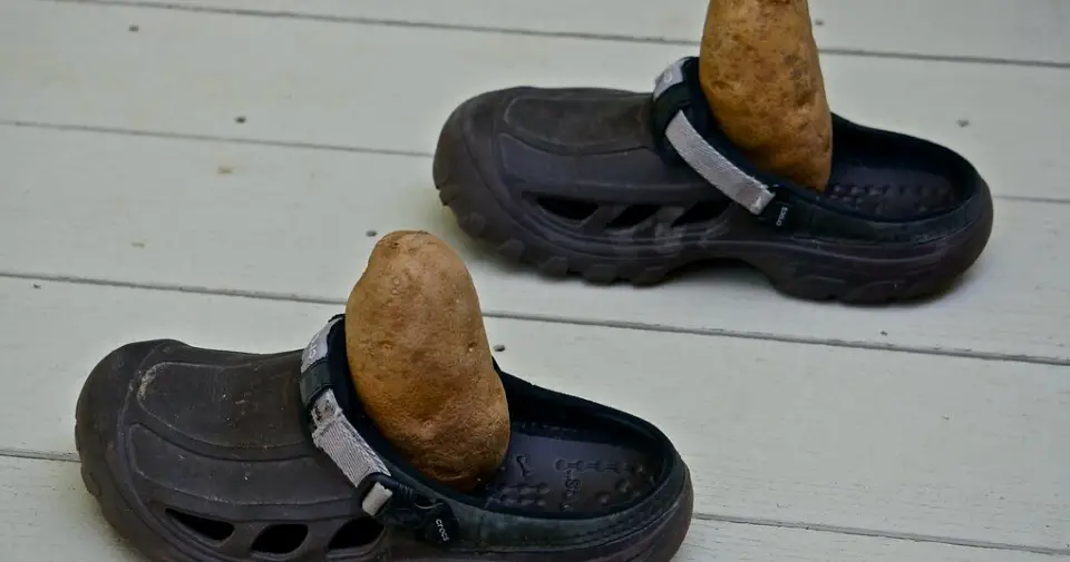 Use Potato to Stretch the Shoes 