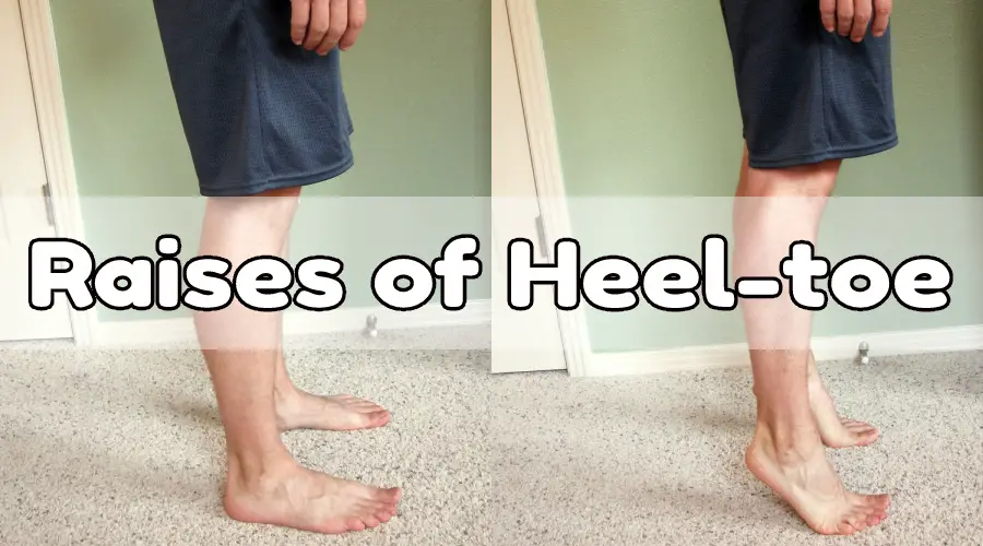 Raises of Heel-toe
