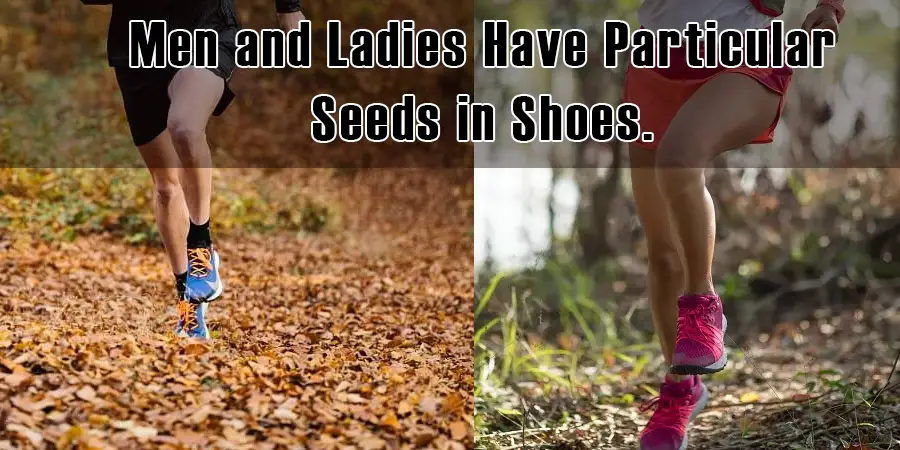 Men and ladies have particular needs in shoes.