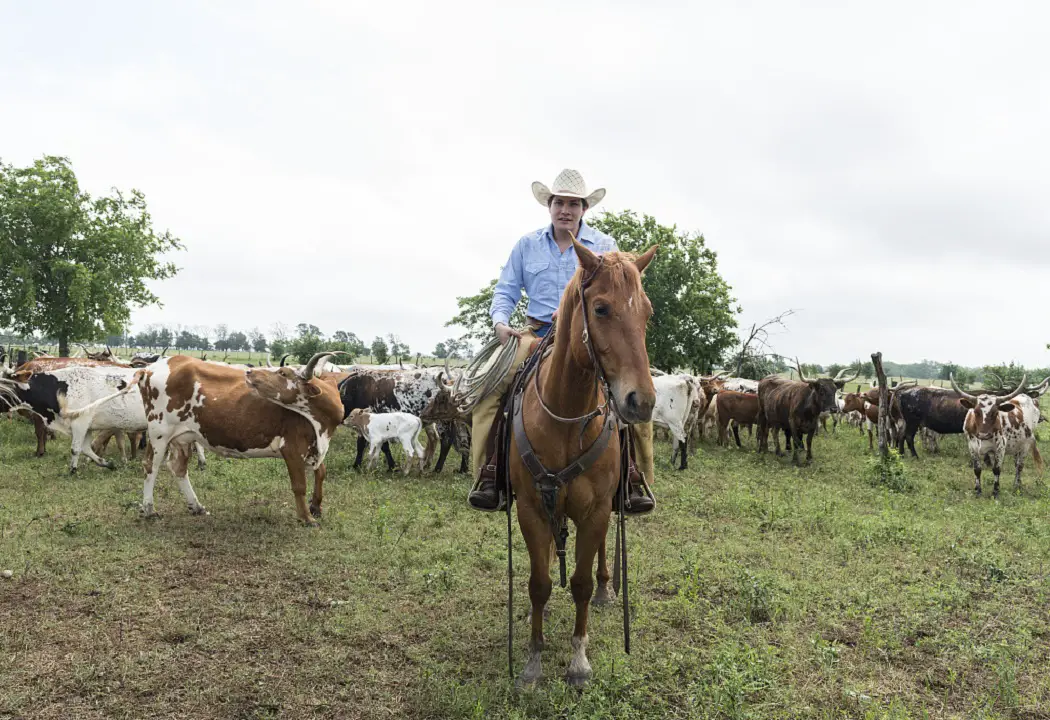 Best Cowboy Boots for Ranch Work 