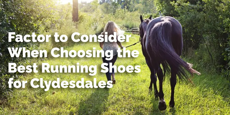 Factor to Consider When Choosing the Best Running Shoes for Clydesdales