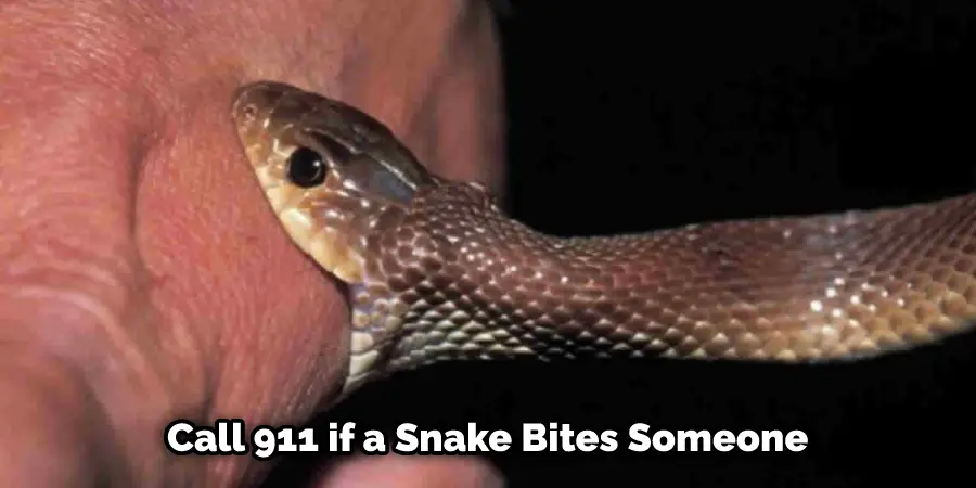 Call 911 if a Snake Bites Someone