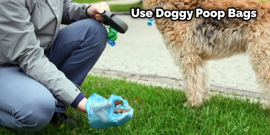 Use Doggy Poop Bags