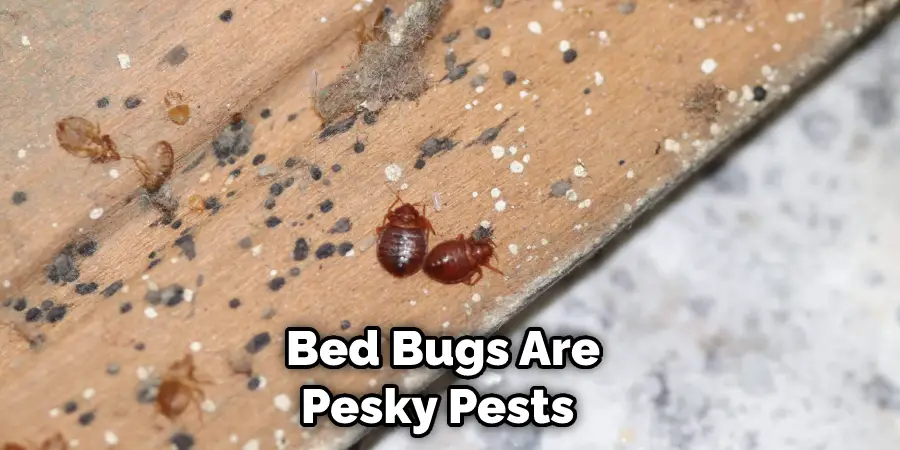 Bed Bugs Are Pesky Pests 