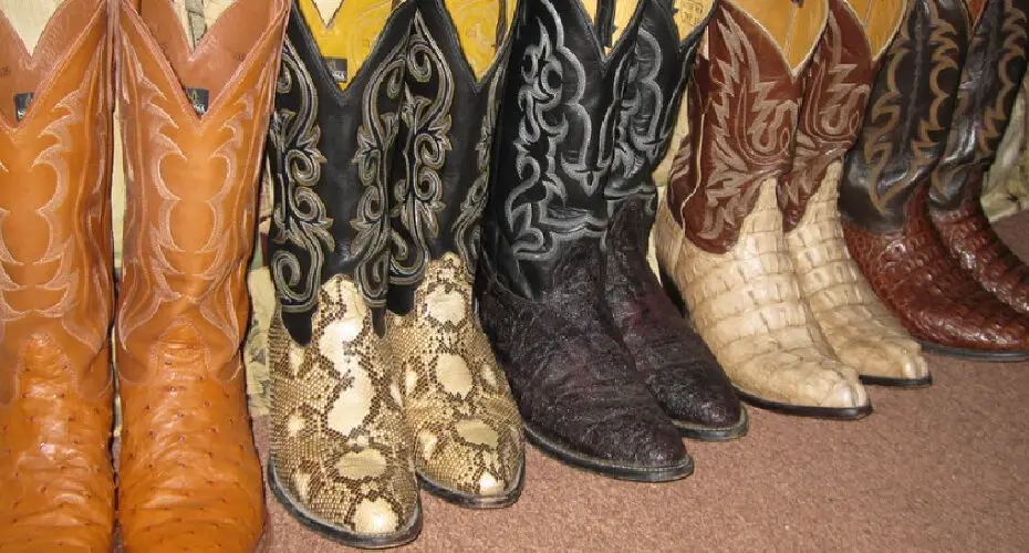How to Clean Ostrich Boots