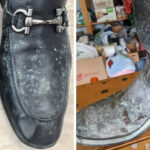 How to Get Rid of Mold Inside Shoes