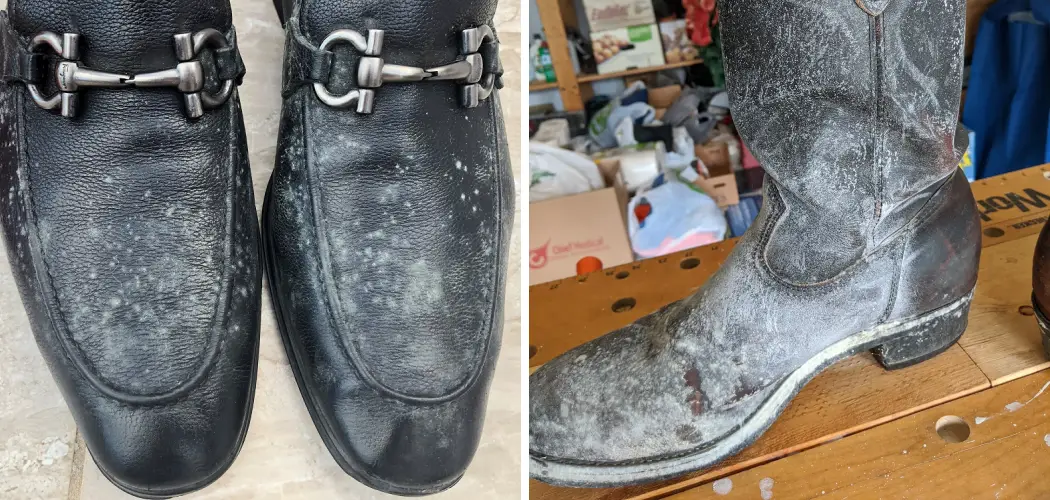 Comment se débarrasser de la moisissure à l'intérieur des chaussures