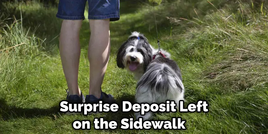   Surprise Deposit Left on the Sidewalk 