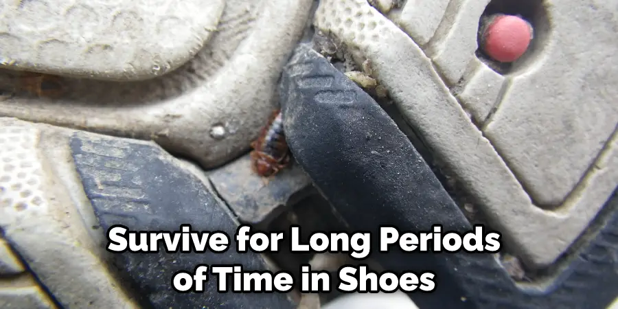 Survive for Long Periods of Time in Shoes