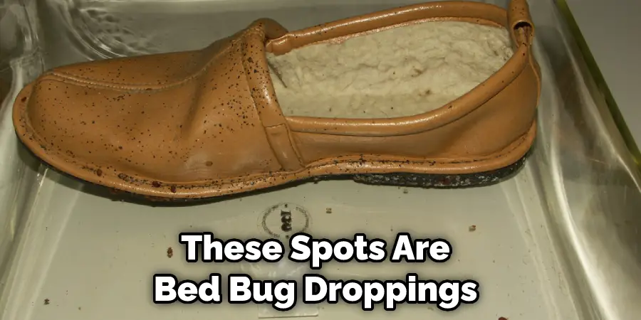 These Spots Are Bed Bug Droppings