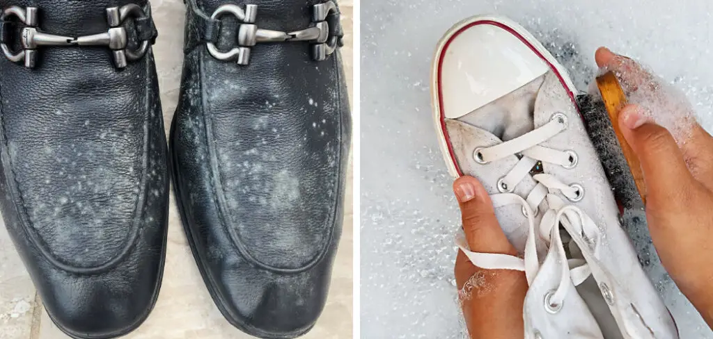 how-to-get-mildew-out-of-shoes-10-easy-steps-the-shoe-buddy