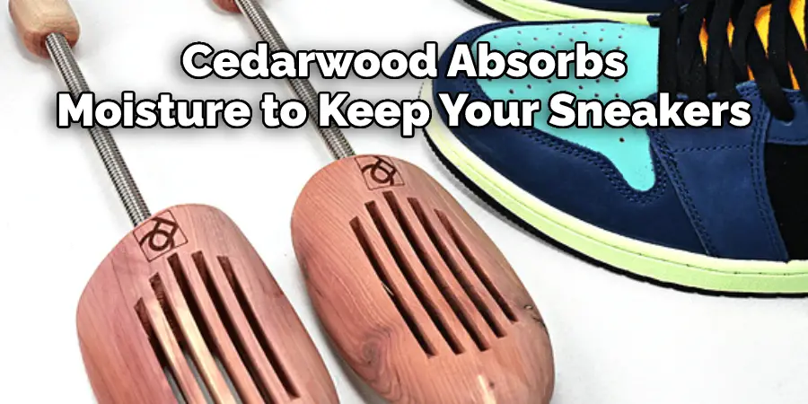 Cedarwood Absorbs Moisture to Keep Your Sneakers