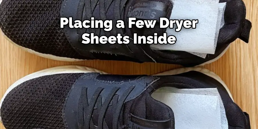 Placing a Few Dryer Sheets Inside